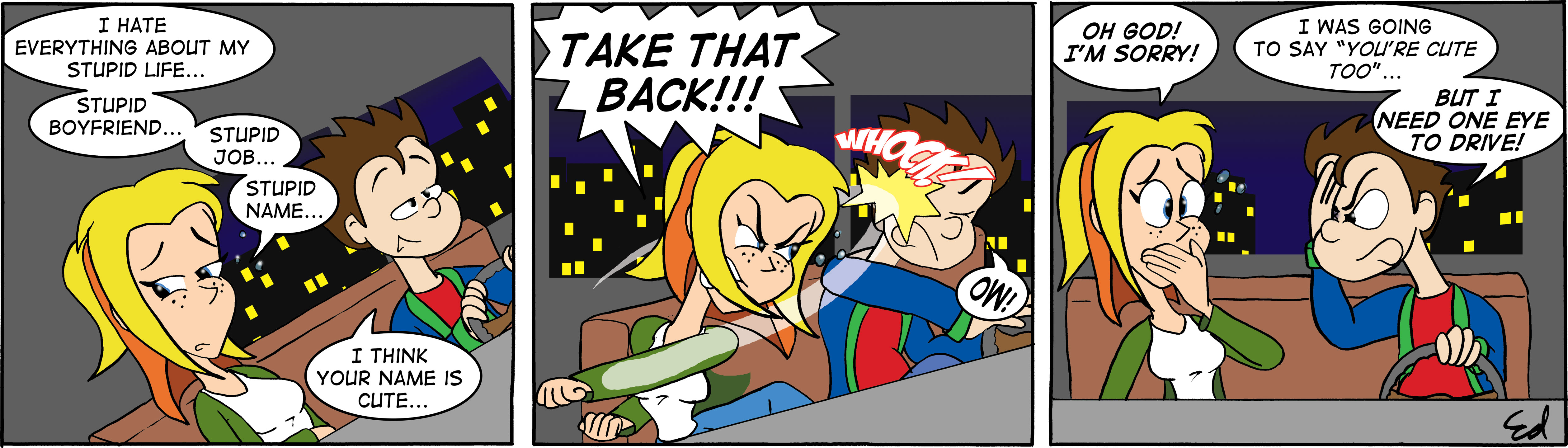 The hero and the popstar 6
