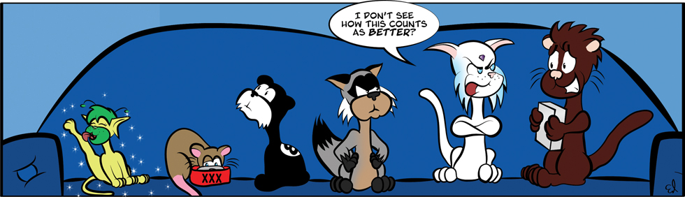 In the kitty