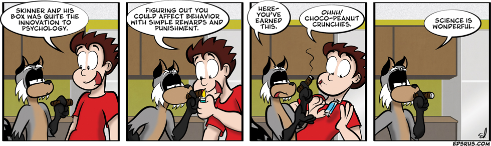 What’s in the box?